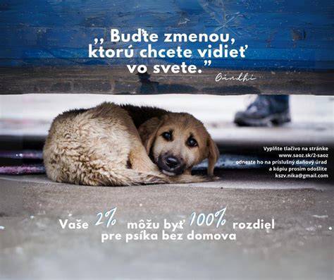Infografika: Pútavý prehľad vývoja filmového príbehu Čierneho psa a jeho réžie