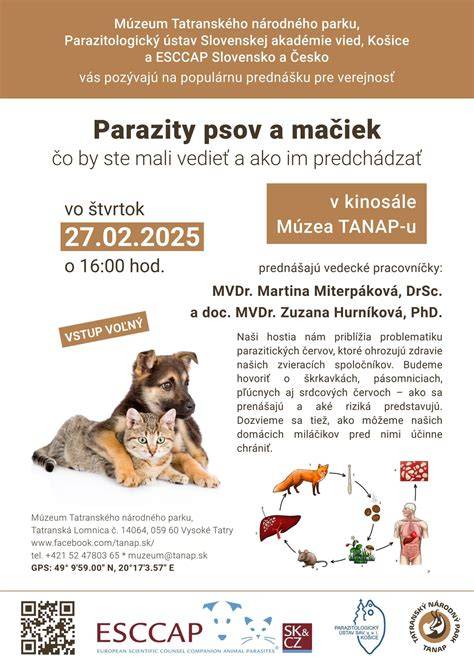 Infografika: Čo zahŕňa základný očkovací plán psov a mačiek