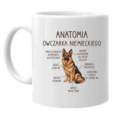 Ilustrácia anatomie veľkého psa s vyznačenou dyspláziou