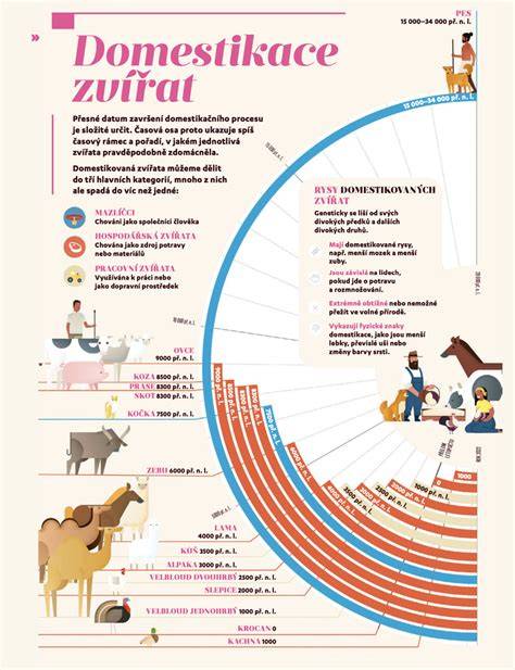 Infografika: časová osi Žltého Psa a kľúčové momenty