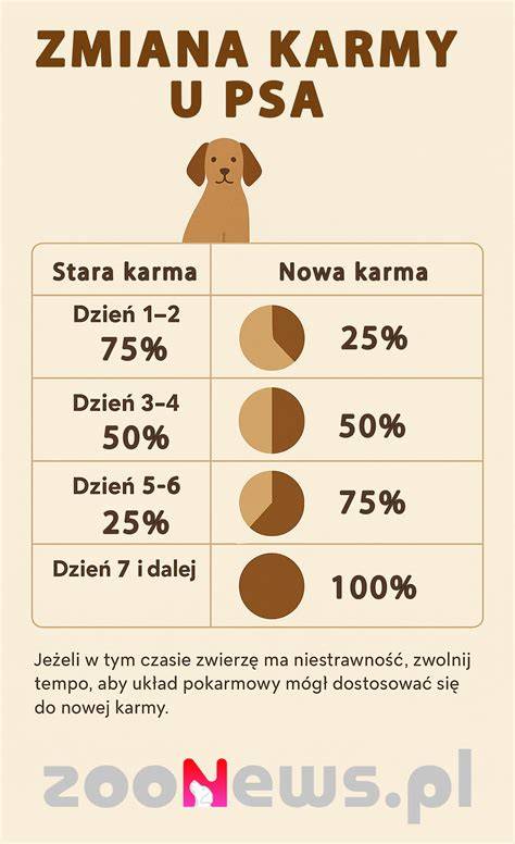 infografika: AKI mechanizmus a liečba u psa