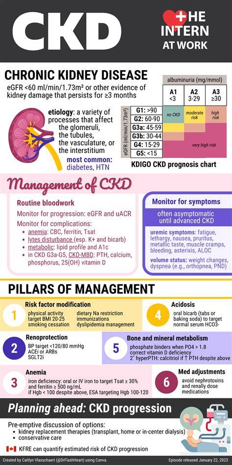 graf ukazujúci CKD management u psa