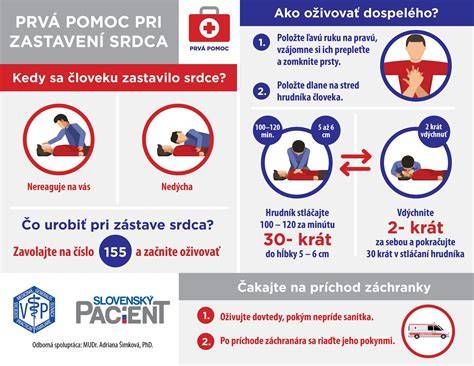 Infografika: tri kroky prvej pomoci pri úraze psa