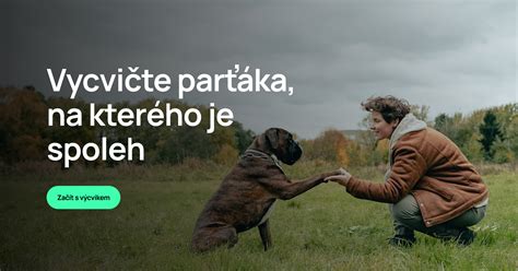 Infografika: Právne rámce zodpovednosti majiteľa psa a nároky poškodeného