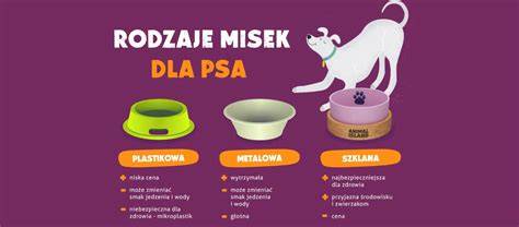infografika_rast_psa.png