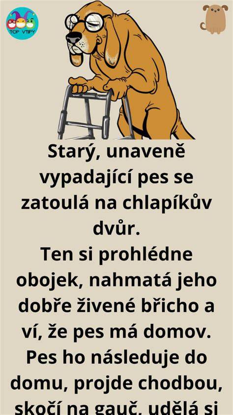 Krátke vtipy so psami - výber obrázka s melancholickým psom a chlapom