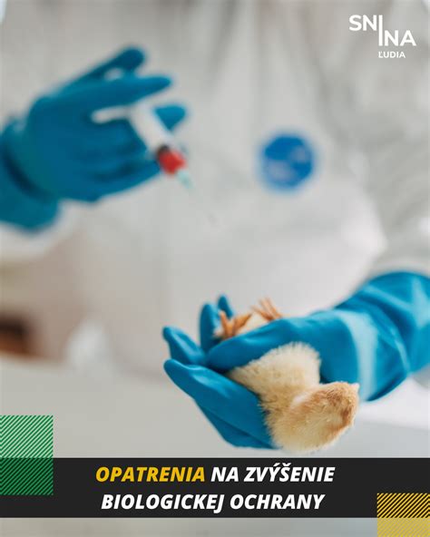 Schéma šírenia parvovírusu a ochranné opatrenia