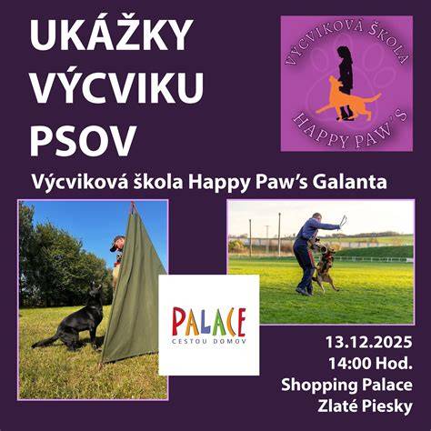 Mapa riešení úniku psov: kombinácia oplotenia, výcviku a zdravotných zásahov