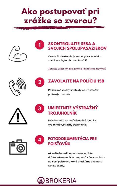 Infografika: Ako sa vyhnúť stretu so zverou a správne reagovať