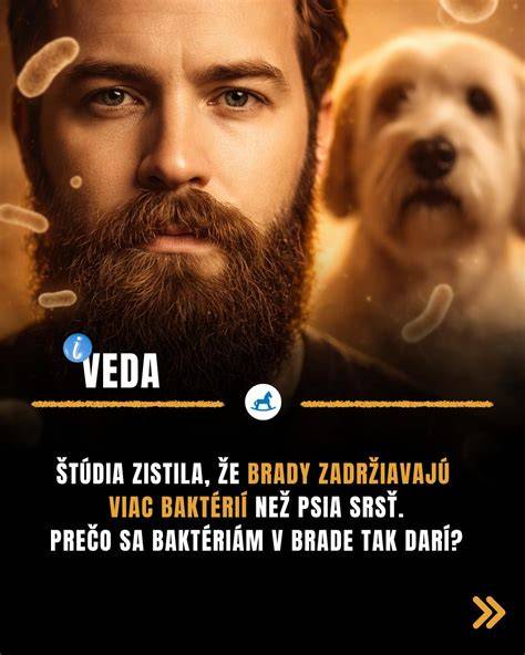 Infografika: Krycia srsť vs. podsada - čo je čo