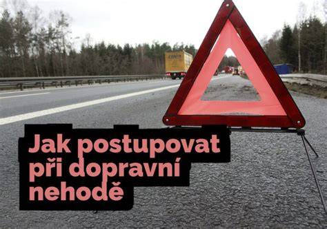 Infografika: Postup pri nehode so zvieraťom a nárok na náhradu škody