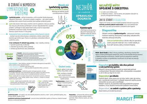 Infografika o výškach a hmotnostiach baseta