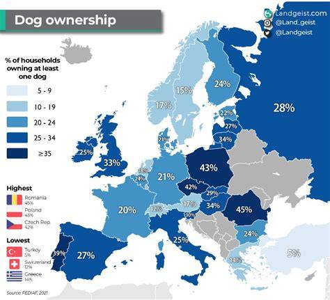 Infografika: Pôvod psov a ich rozšírenie po Európe