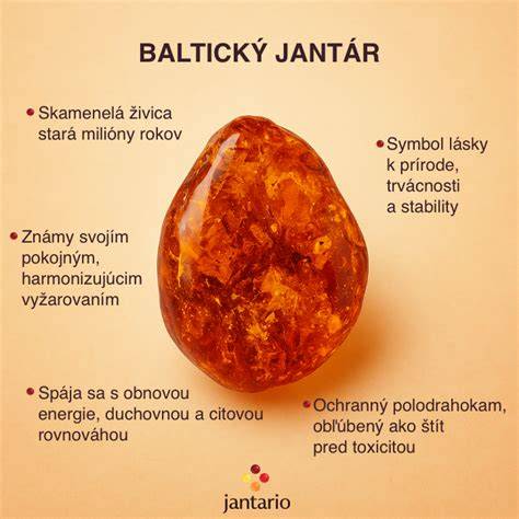 Infografika: Vlastnosti labradora a jeho využitie