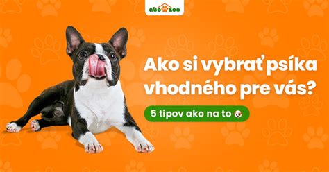 Infografika: Ako vybrať šteniatko podľa povahy a vrhu