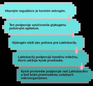 Infografika: Liečebné postupy pri vaginálnych infekciách (antimykotiká, antibiotiká, probiotiká)