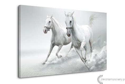 symbolické znázornenie bielych koní v podnikaní