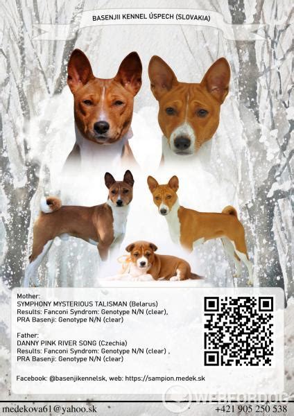 Mapa pôvodu plemena Basenji