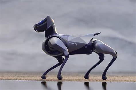 Infografika: Porovnanie hlavných technológií a otvorného kódu medzi CyberDog, Spot a Aibo