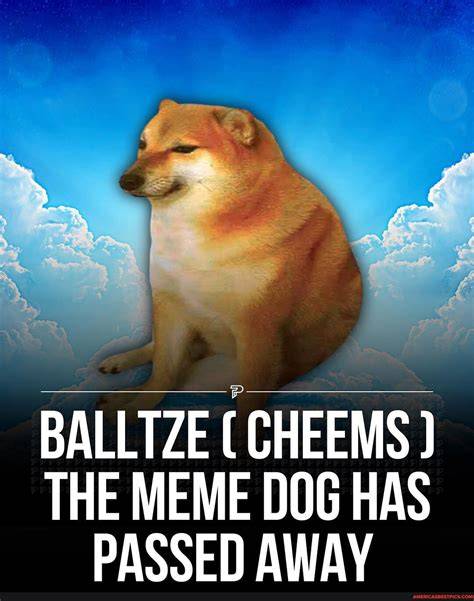Balltze (Ball Ball) s veselým výrazom tváre