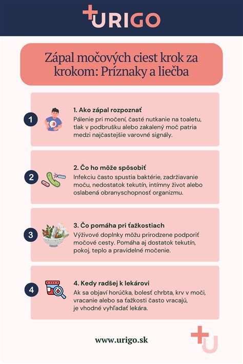 Infografika: Ako rozpoznať a riešiť choré správanie okolo chvosta