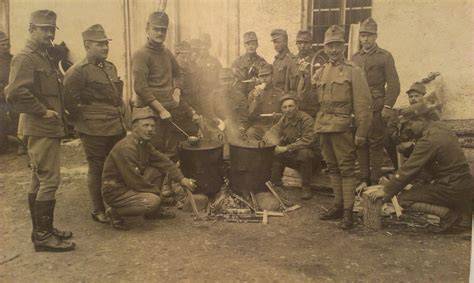 Foxhound v spoločenskej svorke na poľovačke
