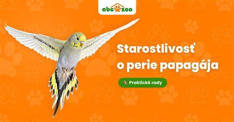 Správna starostlivosť a socializácia foxhounda