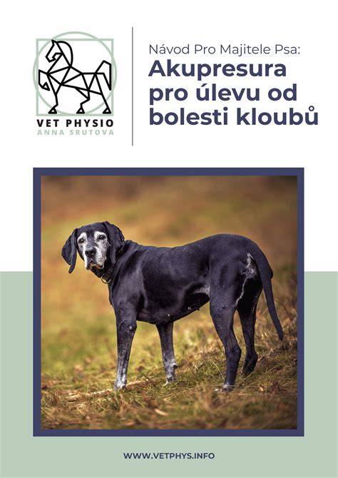 Ilustrácia typických signálov bolesti a nepohodu u psa