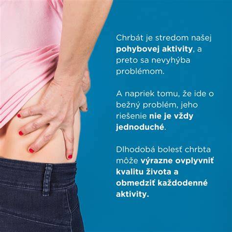 Schéma liečby a rehabilitácie pri bolestiach chrbtice u psov