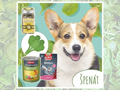 Ilustrácia spokojného psa konzumujúceho špenát