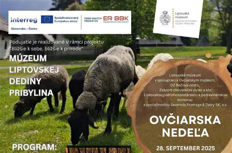 Infografika: Valaská kultúra a Ovčiarska nedeľa v Pribyline