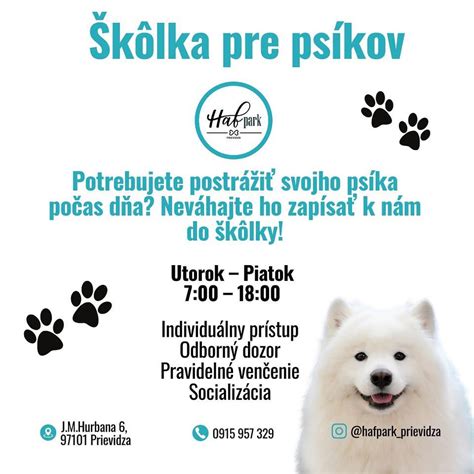 Príklady identifikačných menoviek pre psov