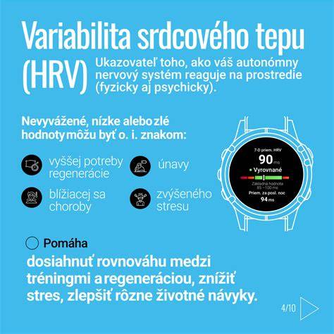 Infografika: Interaktívny Bobík a jeho funkcie