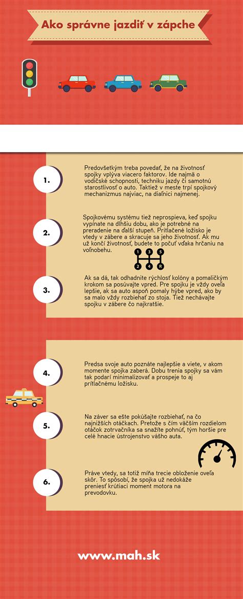 Infografika: Ako správne ostrihať psie pazúry