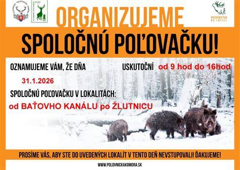 Infografika: priebeh spoločnej poľovačky na diviaky a rozloženie stanovišť