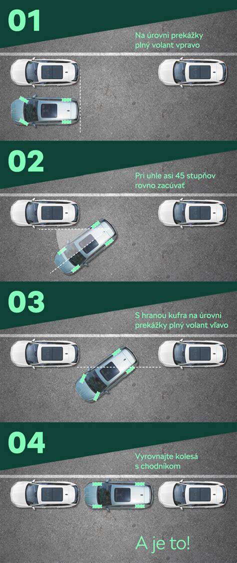Infografika: Tipy pre výchovu 3-mesačného štenaťa a základné pravidlá