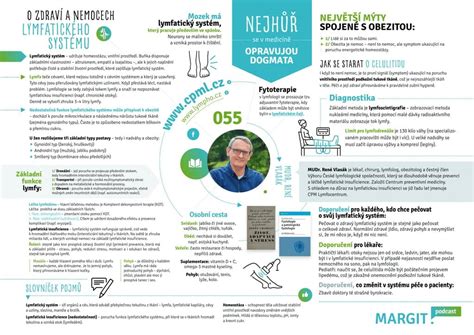 Infografika: Základná architektúra vyhľadávacieho systému a tok údajov