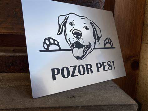 Obrázok: 3D tabuľka Pozor pes