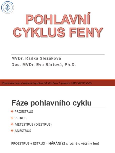Infografika: hormonálny cyklus feny a mechanizmus falošnej gravidity