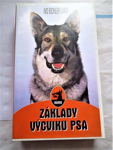 Infografika: Základy úspešného výcviku psa a typické problémy správania