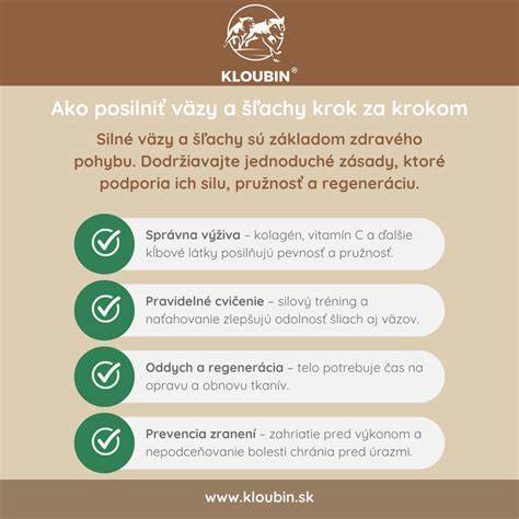 Infografika: Charakteristika labradora a tipy na starostlivosť