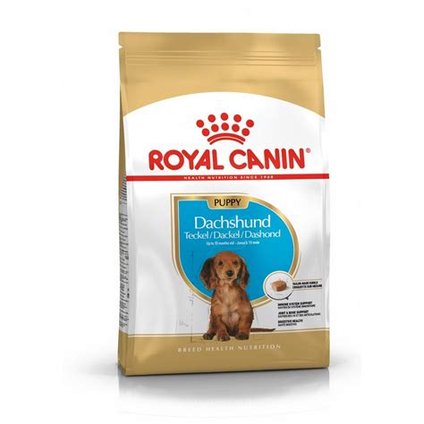 Šťastný pudel s miskou krmiva Royal Canin