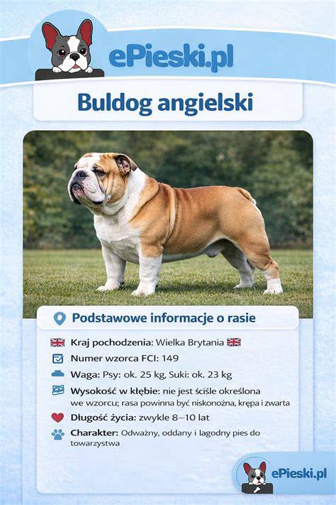 Infografika: História buldog revolverov a ich varianty