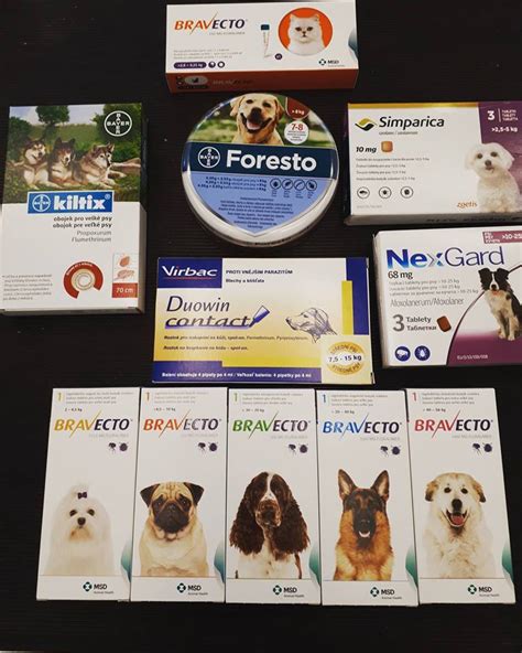 Ilustrácia rôznych antiparazitných prípravkov pre mačky