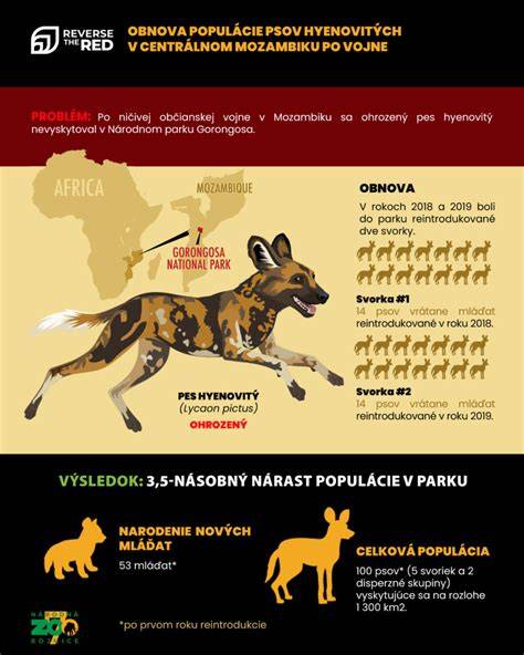 infografika_samonota_pes.png