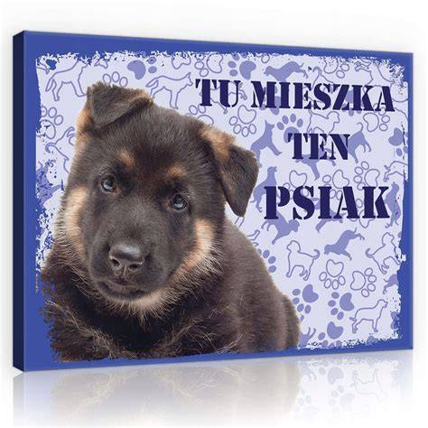 HD pozadie Nemecký ovčiak - obraz na plátne 60x120 cm