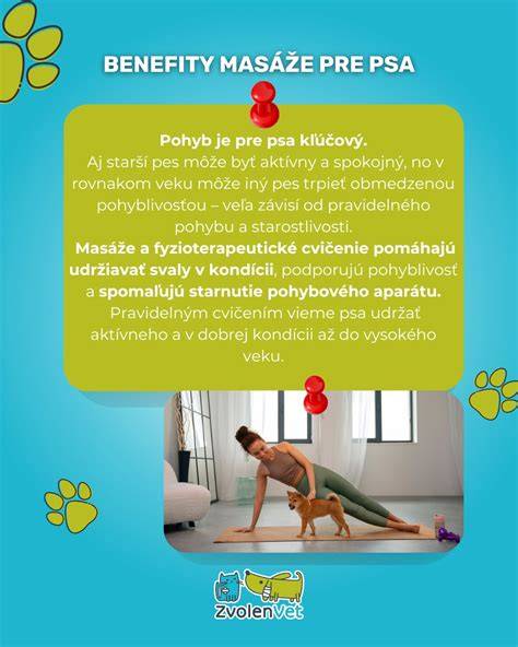 Infografika: Výhody pravidelného pohybu a mentálnej stimulácie psa