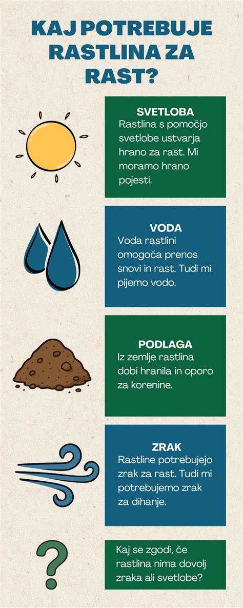 Infografika: Rast psa podľa veľkostnej kategórie - veky dospievania a odhadovaná dospelosť
