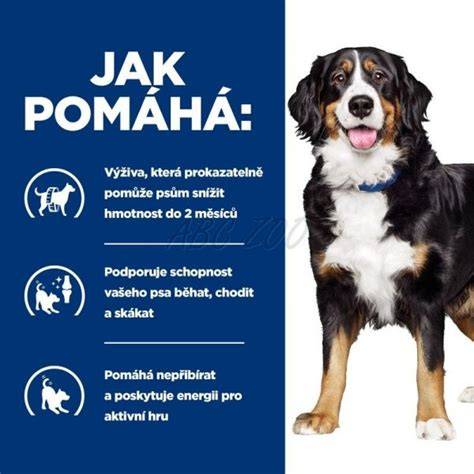 Infografika: Fakty o útokoch psov a ich regulácia
