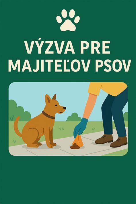 Infografika: Pravidlá nosenia náhubkov a povinnosti majiteľov psov na Slovensku
